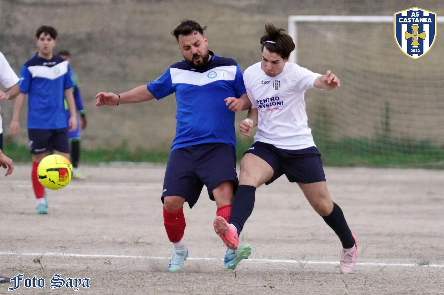 Castanea – CUS Unime, novembre 2024